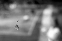 With this Wind Our Future